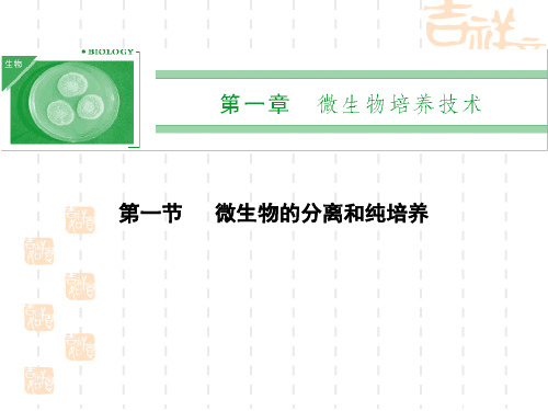 高二生物课件 微生物的分离和纯培养(1)