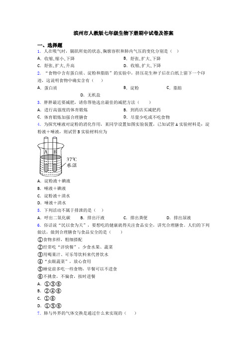 滨州市人教版七年级生物下册期中试卷及答案