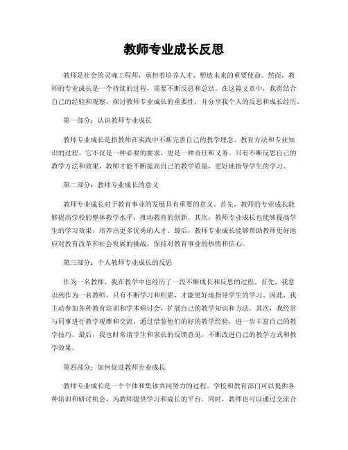 教师专业成长反思