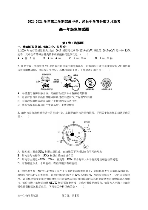 安徽郎溪中学、泾县中学2020-2021学年高一第二学期3月联考生物试卷 含答案