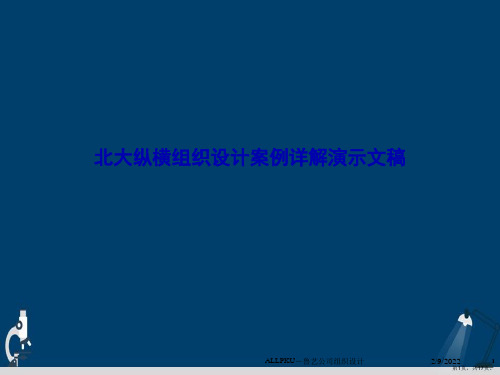 北大纵横组织设计案例详解演示文稿