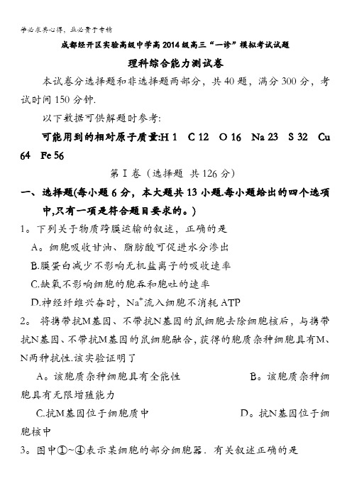 四川省成都经济技术开发区实验高级中学校2017届高三“一诊”模拟(期末模拟)理科综合试题 含答案