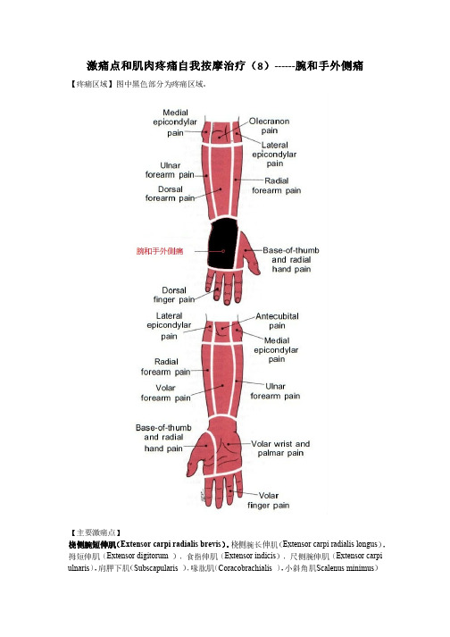 腕和手外侧痛——激痛点和肌肉疼痛自我按摩治疗(8)