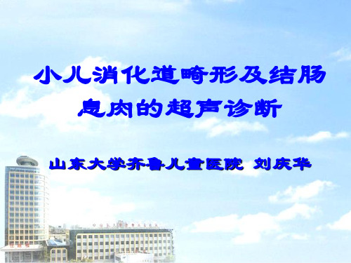 小儿消化道畸形及结肠息肉的超声诊断--刘庆华资料