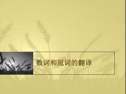 数词和冠词的翻译-PPT文档资料