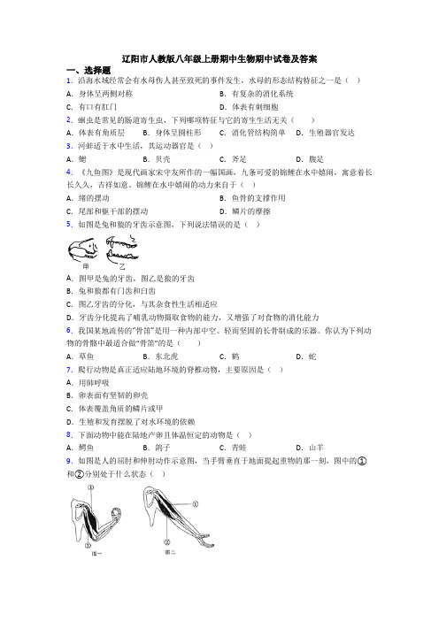 辽阳市人教版八年级上册期中生物期中试卷及答案