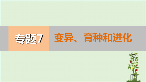 2016高考生物二轮专题变异、育种和进化分析