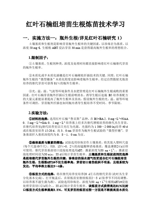 红叶石楠组培苗生根炼苗技术学习