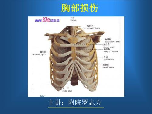 胸部损伤PPT课件