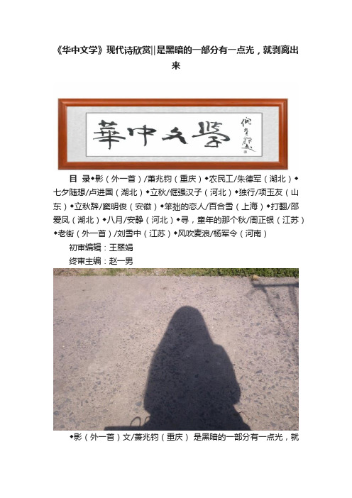 《华中文学》现代诗欣赏‖是黑暗的一部分有一点光，就剥离出来