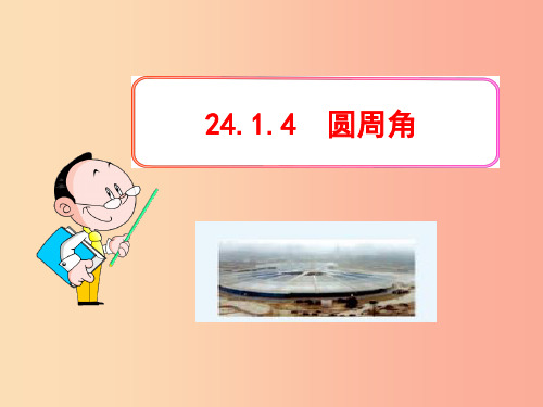 九年级数学上册 第二十四章 圆 24.1 圆 24.1.4 圆周角课件 新人教版