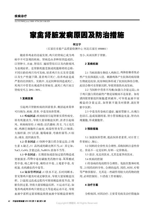 家禽肾脏发病原因及防治措施