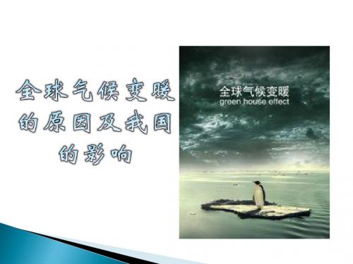 王光宇 全球气候