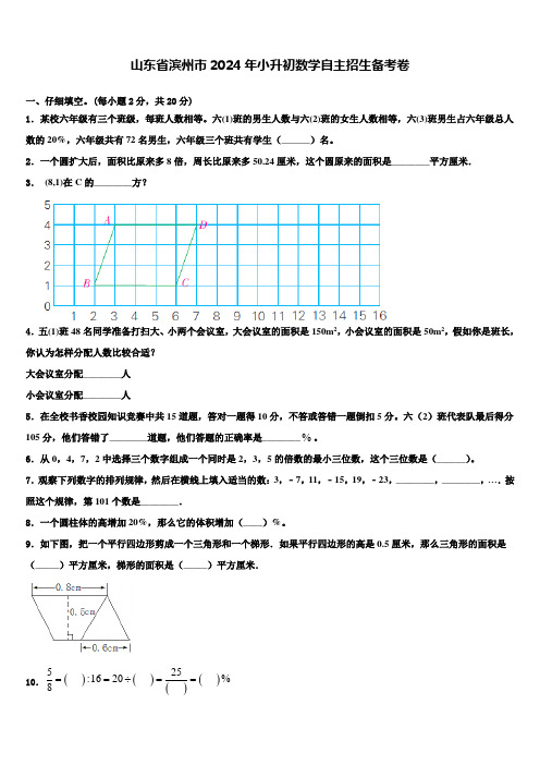 山东省滨州市2024年小升初数学自主招生备考卷含解析