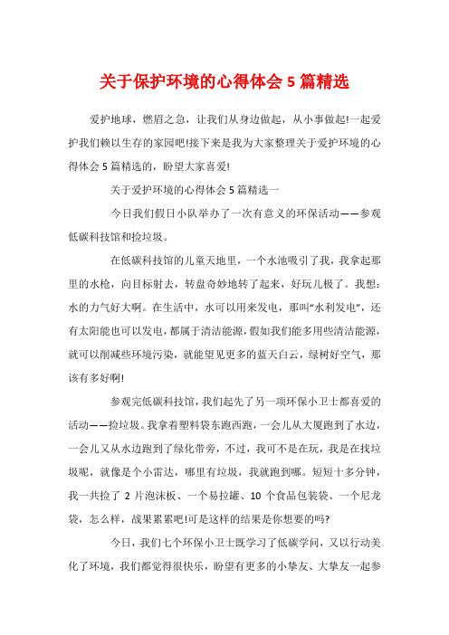 关于保护环境的心得体会5篇精选