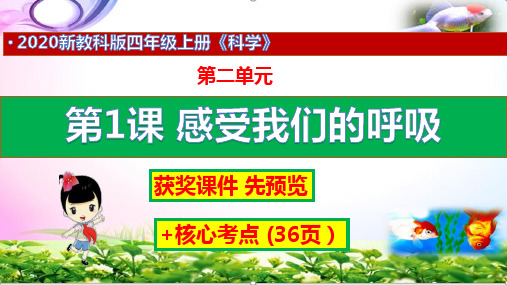 2020最新教科版科学四年级上册2.1感受我们的呼吸+练习+答案(获奖课件)