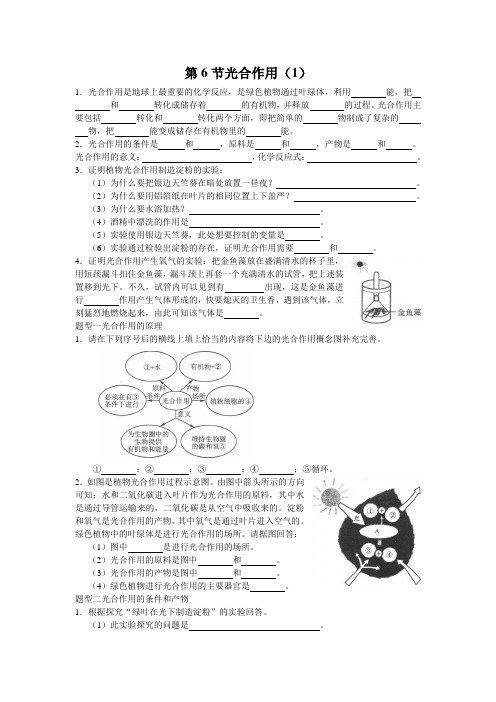 浙教版科学八年级下册第三章第六节-光合作用-二课时练习( 包含答案)