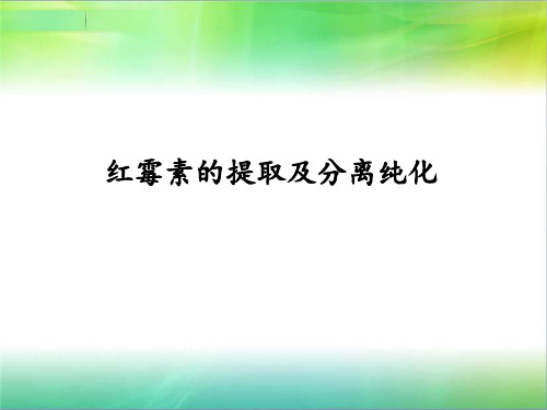 红霉素提取工艺