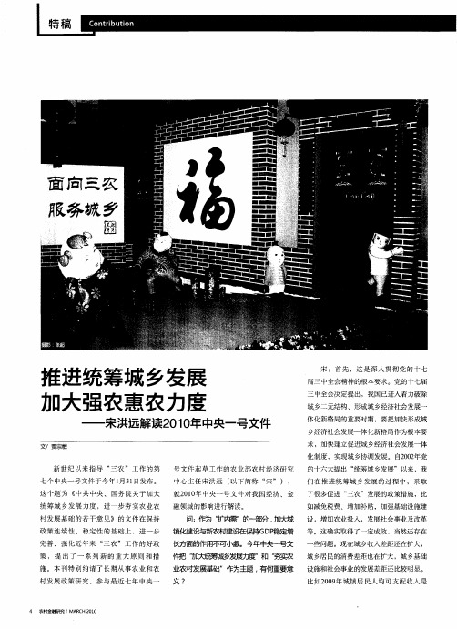 推进统筹城乡发展 加大强农惠农力度——宋洪远解读2010年中央一号文件