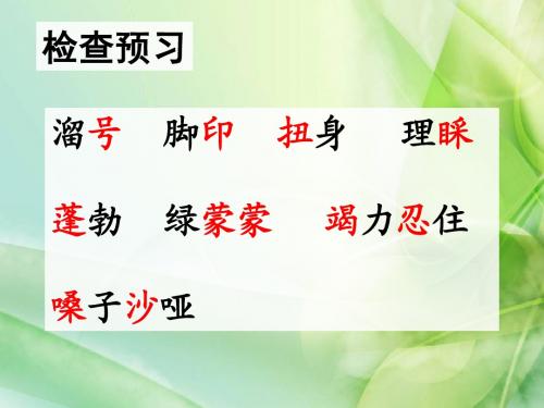 新北师大版语文三年级下册《春天的雨点》ppt公开课课件3