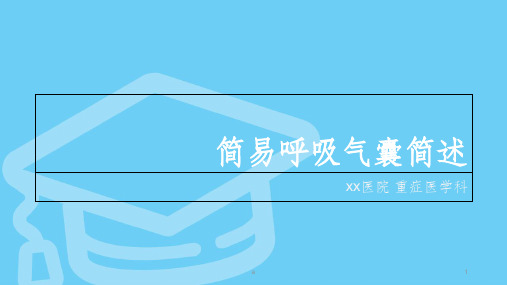 简易呼吸气囊简述