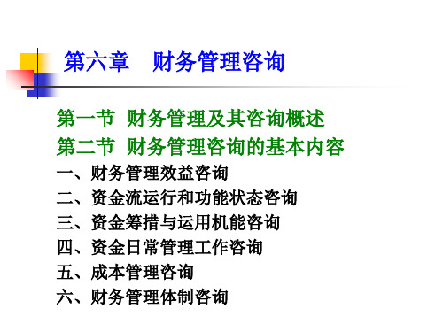 《企业咨询》第六章 财务管理咨询 课件
