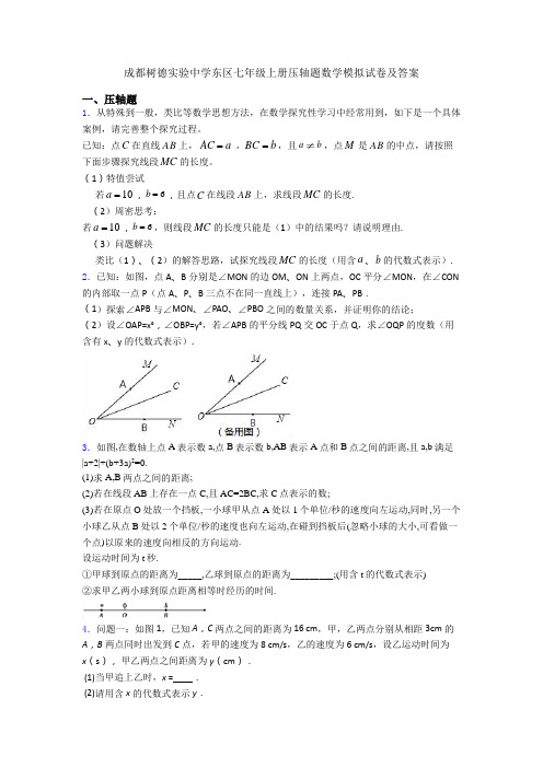 成都树德实验中学东区七年级上册压轴题数学模拟试卷及答案