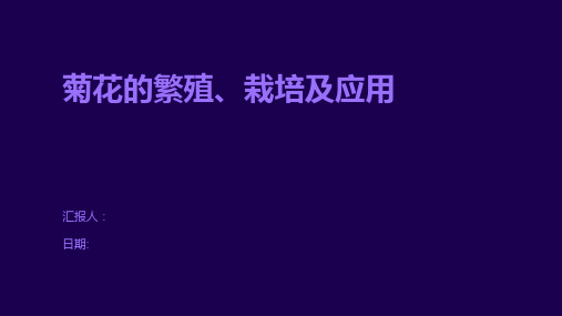 菊花的繁殖、栽培及应用