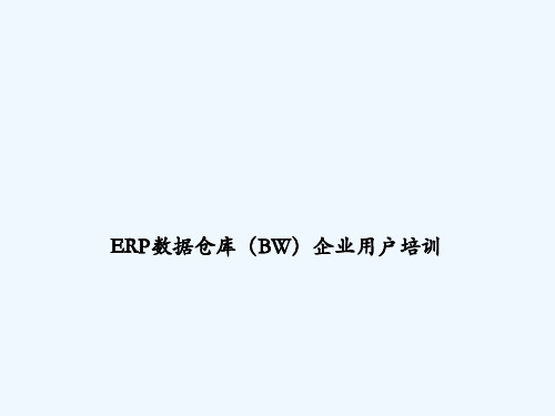 ERP数据仓库BW基本查询功能介绍