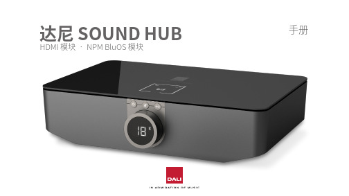 达尼SOUND HUB HDMI模块手册说明书