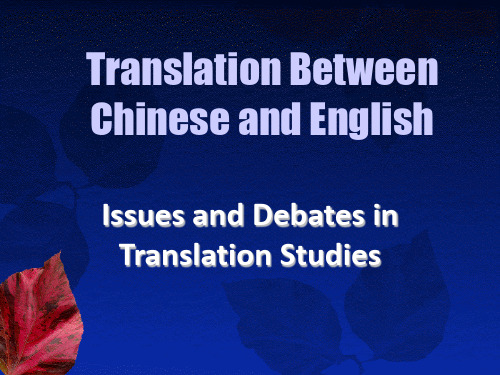 issues in translation studies