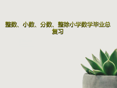整数、小数、分数、整除小学数学毕业总复习36页PPT