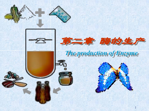 酶的生产条件的优化以及常用酶的应用ppt课件