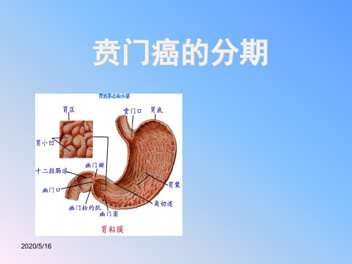 贲门癌的分期