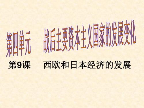 九年级历史下册教学课件PPT优秀课件(26份) 人教版25