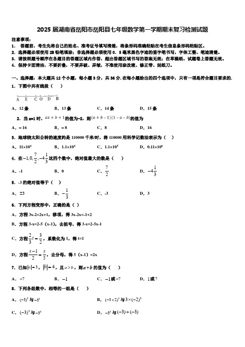 2025届湖南省岳阳市岳阳县七年级数学第一学期期末复习检测试题含解析