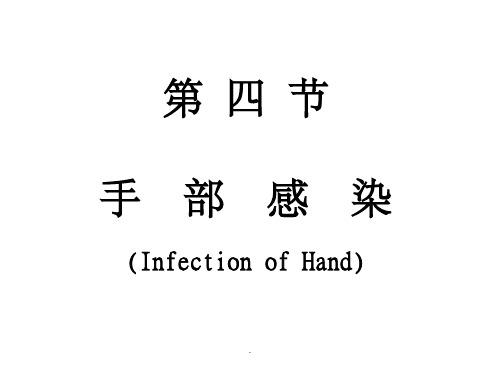 手部感染(infectionofhand