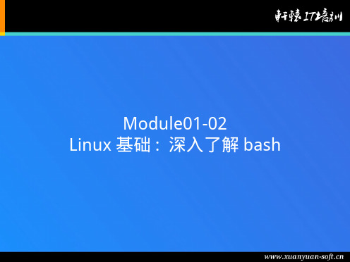 Linux Bash命令学习