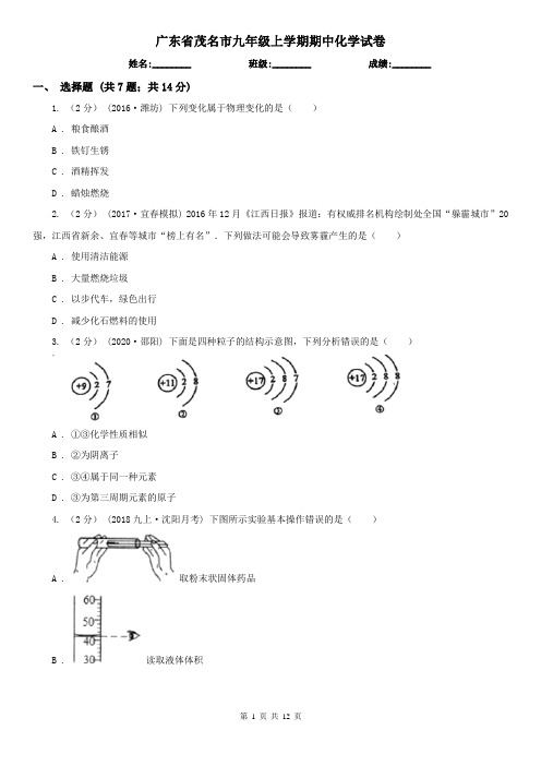 广东省茂名市九年级上学期期中化学试卷