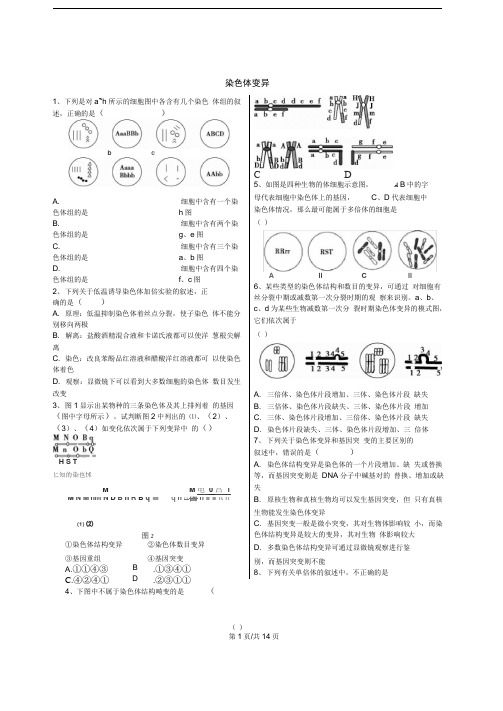 人教版必修二染色体变异作业