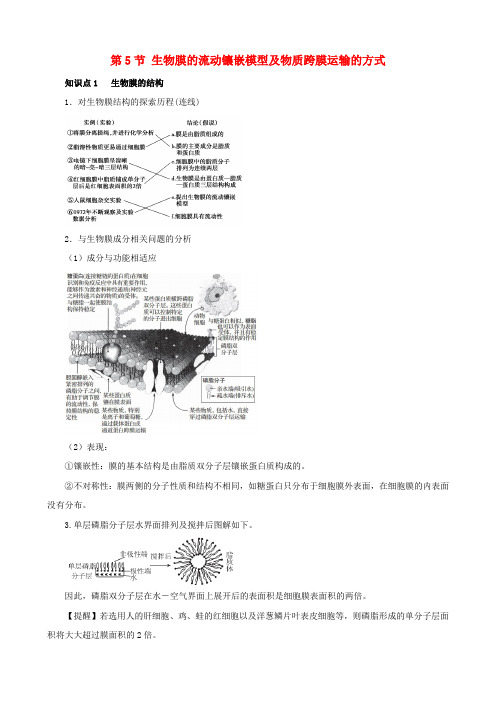 高考生物复习 专题02 细胞的基本结构和物质运输功能 生物膜的流动镶嵌模型 物质跨膜运输的方式知识点