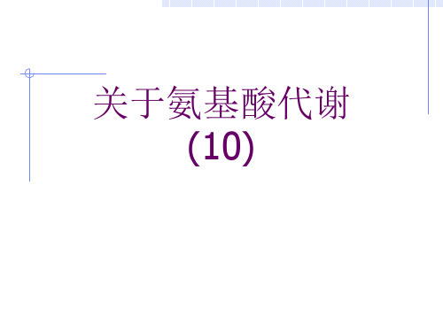 关于氨基酸代谢 (10)课件