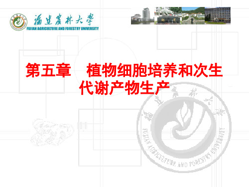 植物细胞培养和次生代谢产物生产PPT课件