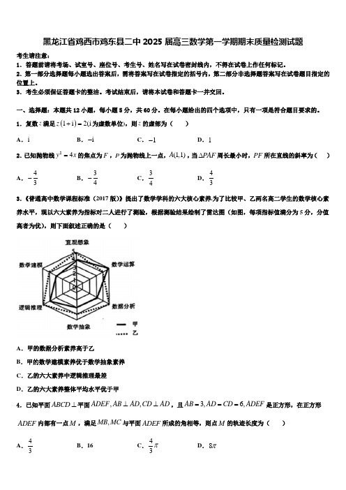 黑龙江省鸡西市鸡东县二中2025届高三数学第一学期期末质量检测试题含解析