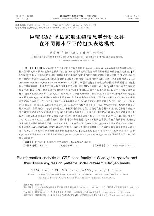 巨桉GRF基因家族生物信息学分析及其在不同氮水平下的组织表达模式