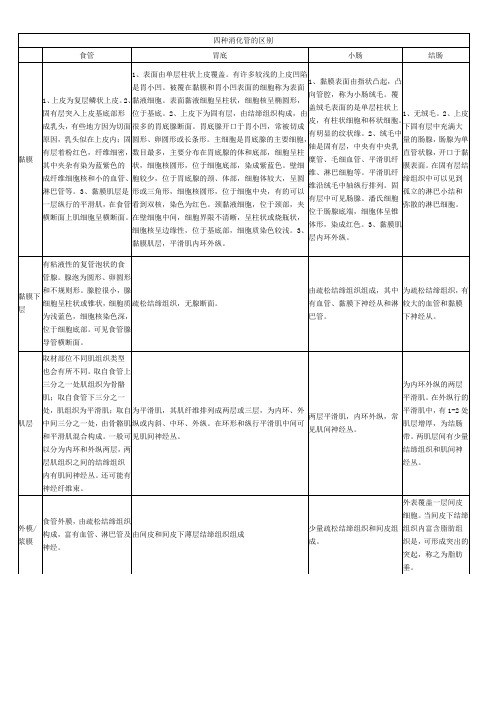 组织学：四种消化管的区别