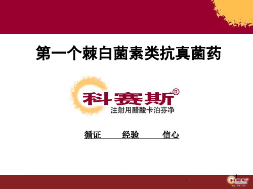 科赛斯ppt课件