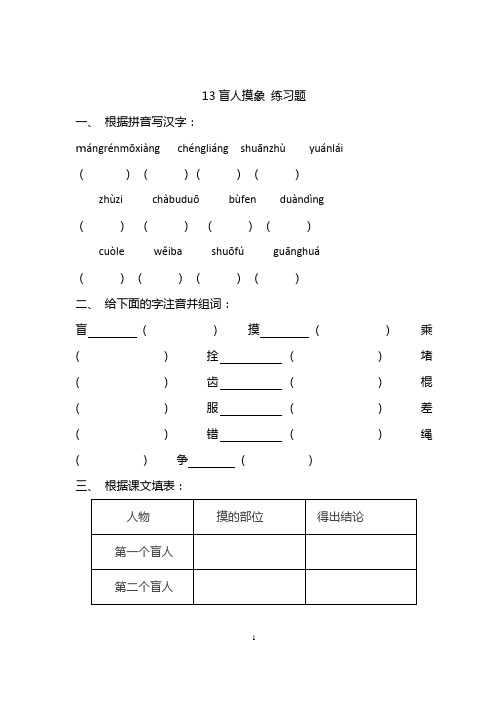 盲人摸象练习题