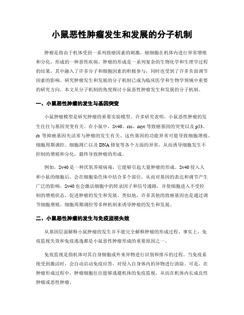 小鼠恶性肿瘤发生和发展的分子机制