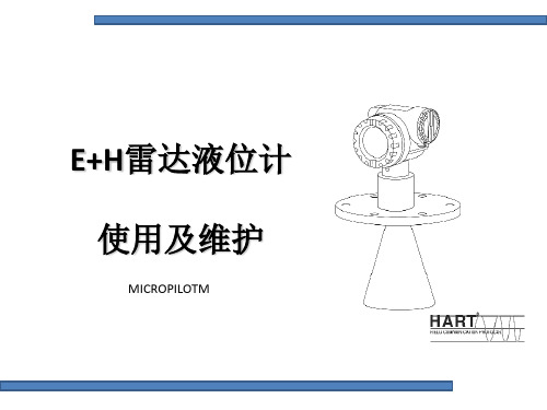 E+H雷达液位计[优质PPT]